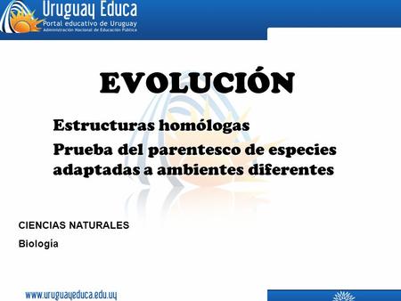 EVOLUCIÓN Estructuras homólogas
