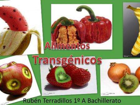 Alimentos Transgénicos