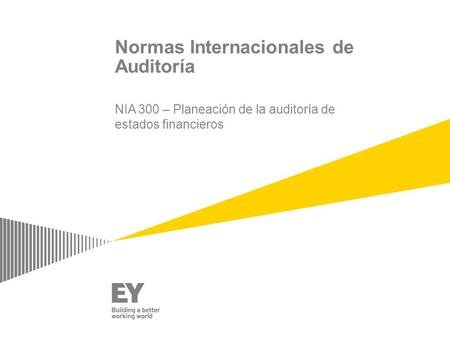 Normas Internacionales de Auditoría