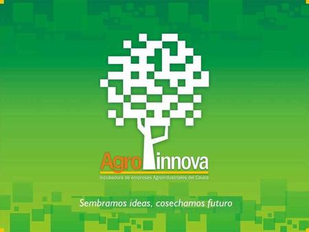 AGROINNOVA – GOBERNACIÓN DEL CAUCA Programa de Emprendedores Agroindustriales Rurales Innovadores 2010 Presentación de emprendimientos IV Convocatoria.