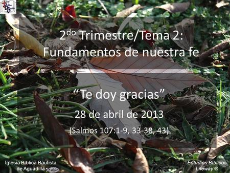 2do Trimestre/Tema 2: Fundamentos de nuestra fe