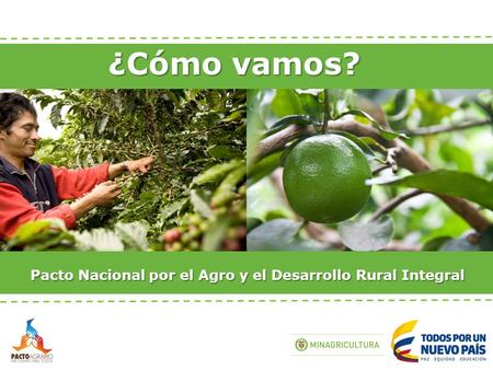 ¿Cómo vamos? Pacto Nacional por el Agro y el Desarrollo Rural Integral.