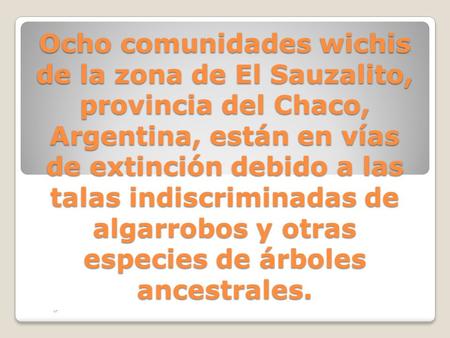 Ocho comunidades wichis de la zona de El Sauzalito, provincia del Chaco, Argentina, están en vías de extinción debido a las talas indiscriminadas de algarrobos.