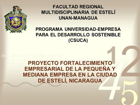 FACULTAD REGIONAL MULTIDISCIPLINARIA DE ESTELÍ UNAN-MANAGUA PROGRAMA UNIVERSIDAD-EMPRESA PARA EL DESARROLLO SOSTENIBLE (CSUCA) PROYECTO FORTALECIMIENTO.