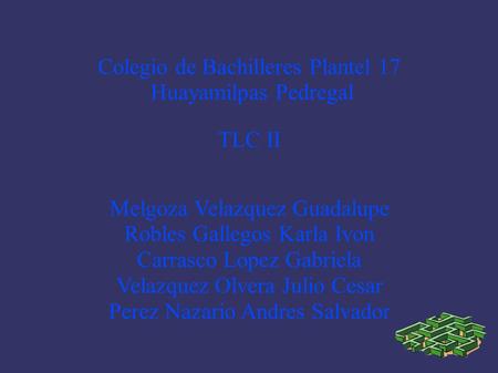 Colegio de Bachilleres Plantel 17 Huayamilpas Pedregal TLC II