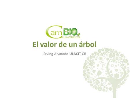 El valor de un árbol Erving Alvarado ULACIT CR. Reto Lograr desarrollar conciencia ambiental en niños entre los 8 y 12 años de edad en etapas escolares.