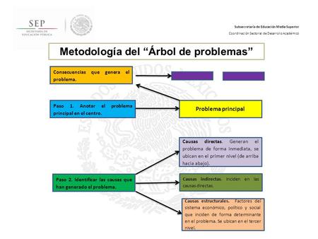 Metodología del “Árbol de problemas”