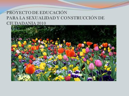 PROYECTO DE EDUCACIÓN PARA LA SEXUALIDAD Y CONSTRUCCIÓN DE CIUDADANIA 2010.