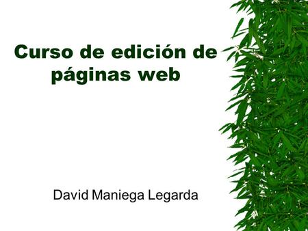 Curso de edición de páginas web David Maniega Legarda.