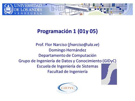 Programación 1 (01y 05) Prof. Flor Narciso
