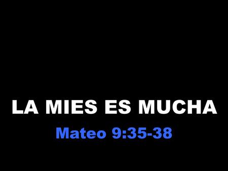 LA MIES ES MUCHA Mateo 9:35-38.