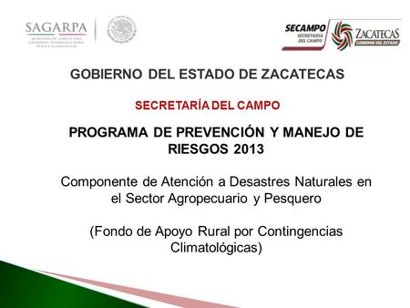 GOBIERNO DEL ESTADO DE ZACATECAS SECRETARÍA DEL CAMPO PROGRAMA DE PREVENCIÓN Y MANEJO DE RIESGOS 2013 Componente de Atención a Desastres Naturales en el.