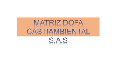 MATRIZ DOFA CASTIAMBIENTAL S.A.S.
