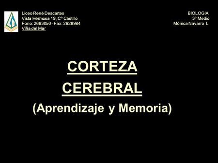CORTEZA CEREBRAL (Aprendizaje y Memoria)