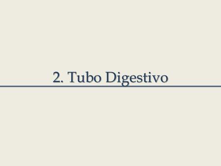2. Tubo Digestivo.