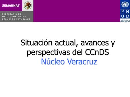 Situación actual, avances y perspectivas del CCnDS Núcleo Veracruz.