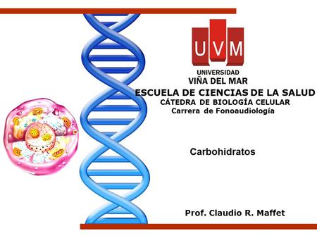 Carbohidratos Prof. Claudio R. Maffet ESCUELA DE CIENCIAS DE LA SALUD CÁTEDRA DE BIOLOGÍA CELULAR Carrera de Fonoaudiología.