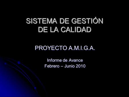 SISTEMA DE GESTIÓN DE LA CALIDAD PROYECTO A.M.I.G.A. Informe de Avance Febrero – Junio 2010.