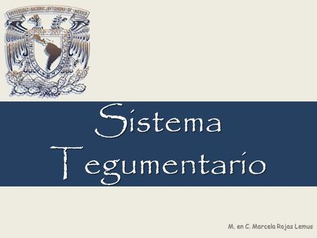 Sistema Tegumentario M. en C. Marcela Rojas Lemus.
