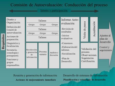 Comisión de Autoevaluación: Conducción del proceso Diseño y Organización Definición del Comité de autoevaluación Acciones de preparación. Diagnóstico y.