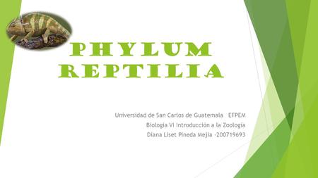 phylum reptilia Universidad de San Carlos de Guatemala EFPEM