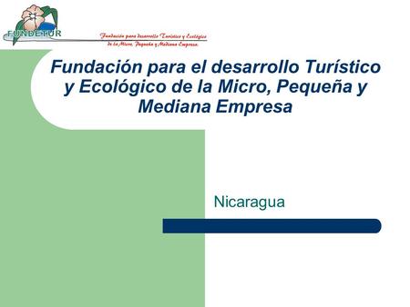 Fundación para el desarrollo Turístico y Ecológico de la Micro, Pequeña y Mediana Empresa Nicaragua.
