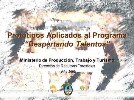 Prototipos Aplicados al Programa “Despertando Talentos” Ministerio de Producción, Trabajo y Turismo Dirección de Recursos Forestales Año 2009 Gobierno.