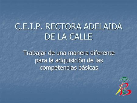 C.E.I.P. RECTORA ADELAIDA DE LA CALLE