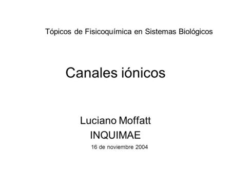 Luciano Moffatt INQUIMAE