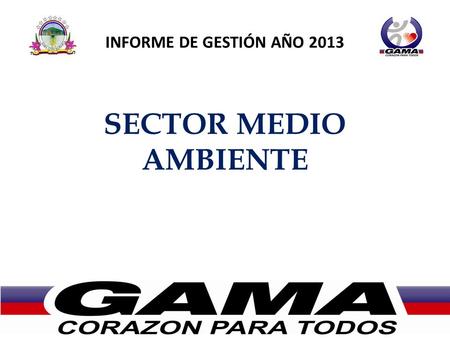 INFORME DE GESTIÓN AÑO 2013 SECTOR MEDIO AMBIENTE.