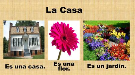 La Casa Es una flor. Es una casa. Es un jardín..