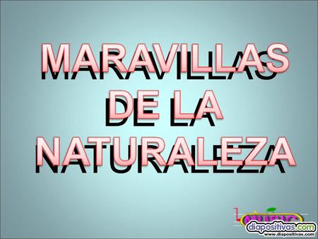 MARAVILLAS DE LA NATURALEZA.