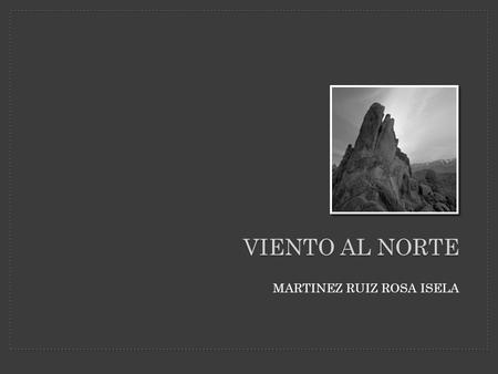 VIENTO AL NORTE MARTINEZ RUIZ ROSA ISELA. VIENTO AL NORTE AVANCE DE NUEVOS PRODUCTOS.