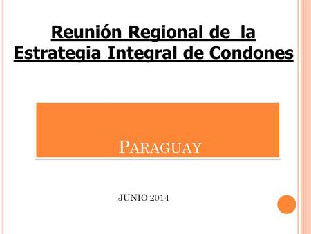 P ARAGUAY JUNIO 2014 Reunión Regional de la Estrategia Integral de Condones.