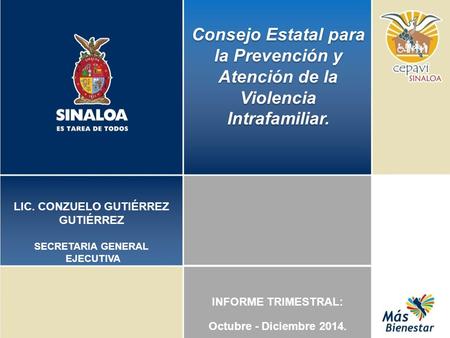 Consejo Estatal para la Prevención y Atención de la Violencia Intrafamiliar. LIC. CONZUELO GUTIÉRREZ GUTIÉRREZ SECRETARIA GENERAL EJECUTIVA INFORME TRIMESTRAL:
