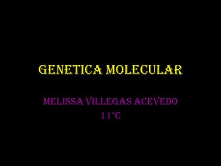 GENETICA MOLECULAR MELISSA VILLEGAS ACEVEDO 11°C.