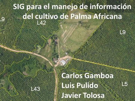 SIG para el manejo de información del cultivo de Palma Africana