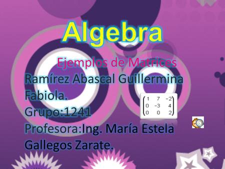 Algebra Ejemplos de Matrices Ramírez Abascal Guillermina Fabiola.