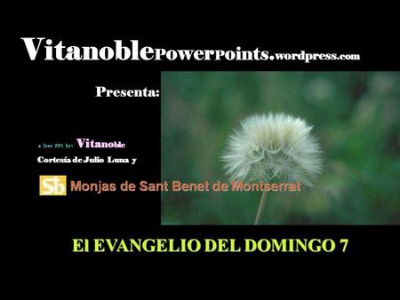 V ita noble P ower P o ints. wordpress.com Presenta: El EVANGELIO DEL DOMINGO 7 a free PPS by: Vi ta no ble Cortesía de Julio Luna y.