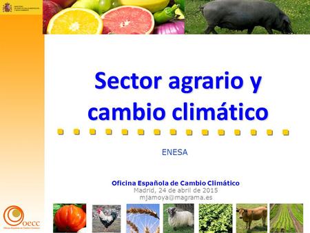 1 Oficina Española de Cambio Climático Madrid, 24 de abril de 2015 Sector agrario y cambio climático ENESA.