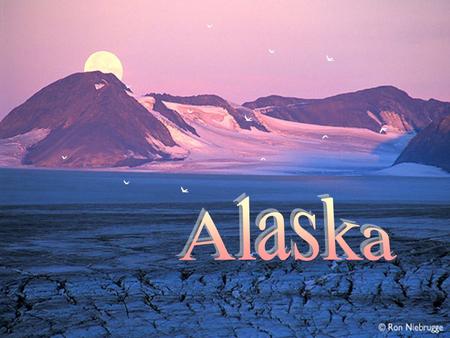 El Parque Nacional de Kenai es el menor de los 8 parques nacionales de Alaska, pero en compensación es uno de los más bonitos y visitados. Está localizado.