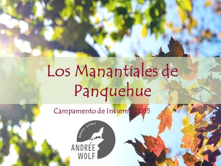 Los Manantiales de Panquehue
