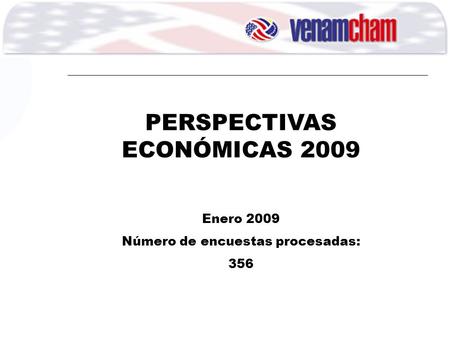 PERSPECTIVAS ECONÓMICAS 2009 Enero 2009 Número de encuestas procesadas: 356.