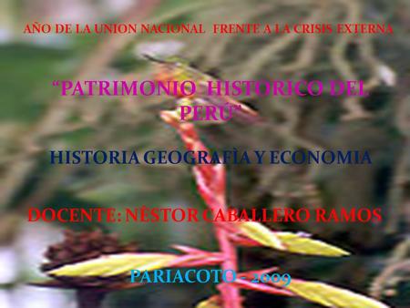 AÑO DE LA UNION NACIONAL FRENTE A LA CRISIS EXTERNA “PATRIMONIO HISTORICO DEL PERÚ” HISTORIA GEOGRAFÌA Y ECONOMIA DOCENTE: NÈSTOR CABALLERO RAMOS PARIACOTO.