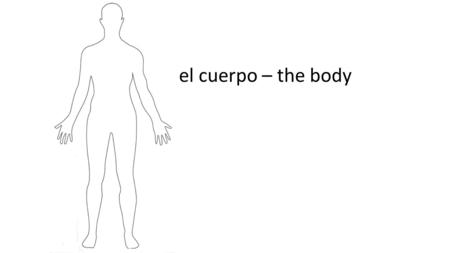 El cuerpo – the body.