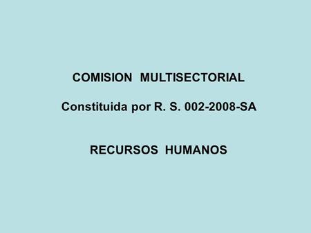 COMISION MULTISECTORIAL Constituida por R. S. 002-2008-SA RECURSOS HUMANOS.