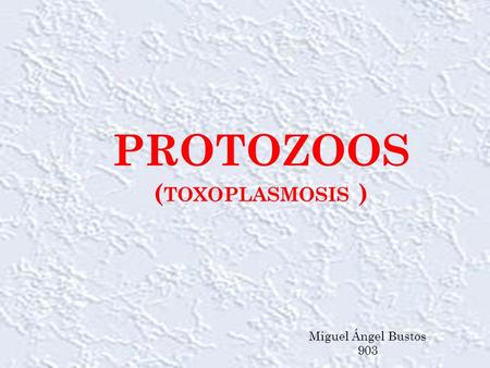 protozoos (toxoplasmosis )