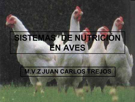 SISTEMAS DE NUTRICIÓN EN AVES M.V.Z JUAN CARLOS TREJOS.