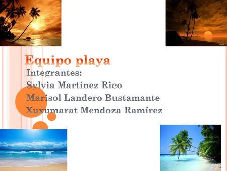 Equipo playa Integrantes: Sylvia Martínez Rico