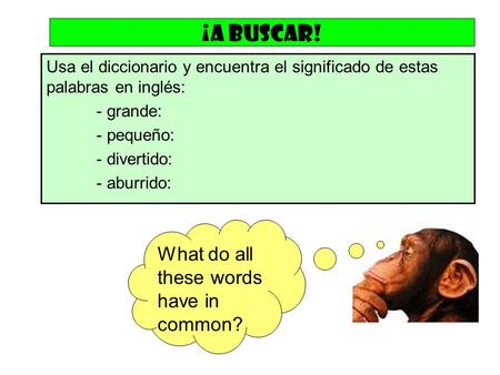 ¡A buscar! What do all these words have in common?
